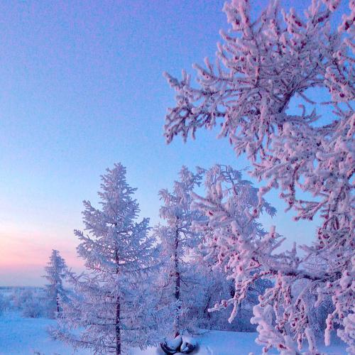 Photo #4418659