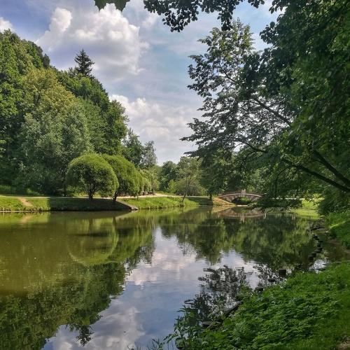 Photo #4418679