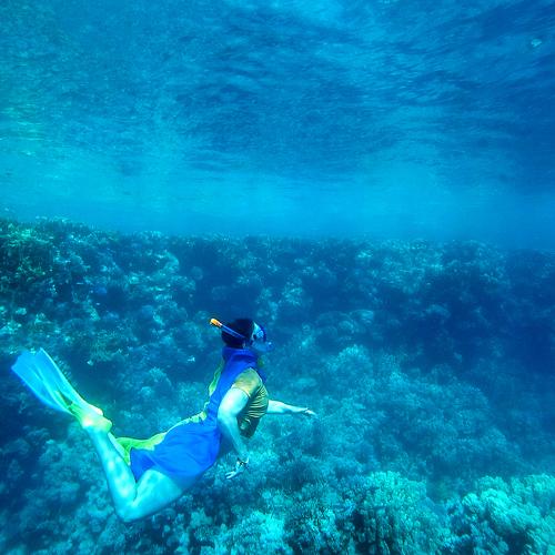 Photo #4418927