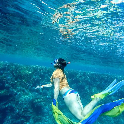 Photo #4419127