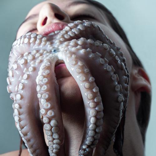 Photo #4419352