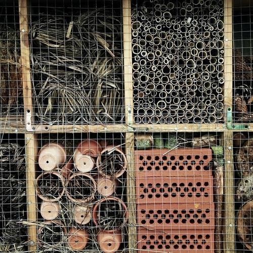 Photo #4419386