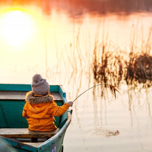 Photo #4419558
