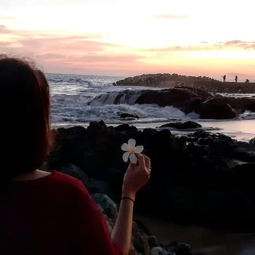 Photo #4419622