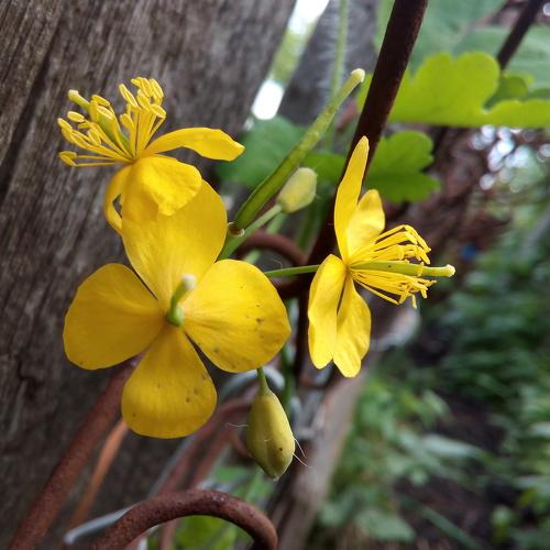 Photo #4419710