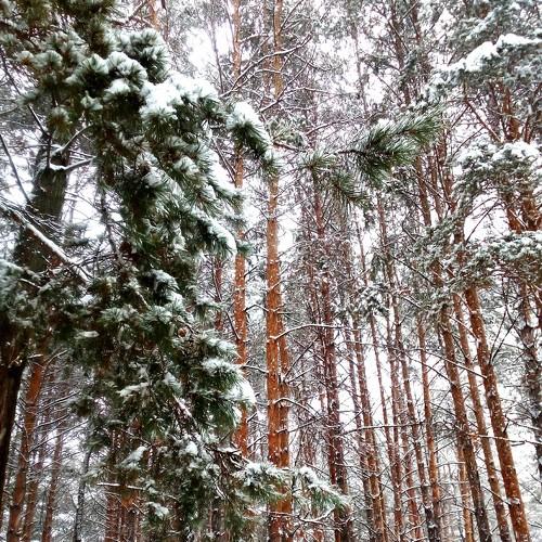 Photo #4419922