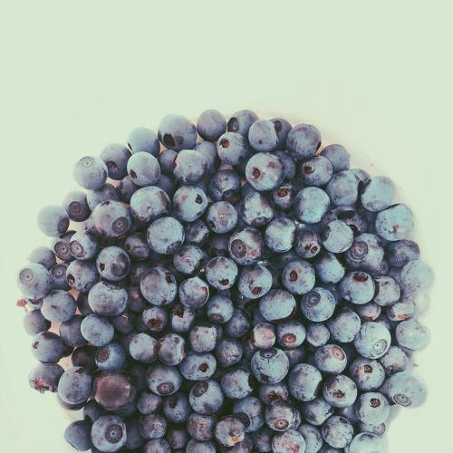 Photo #4420034