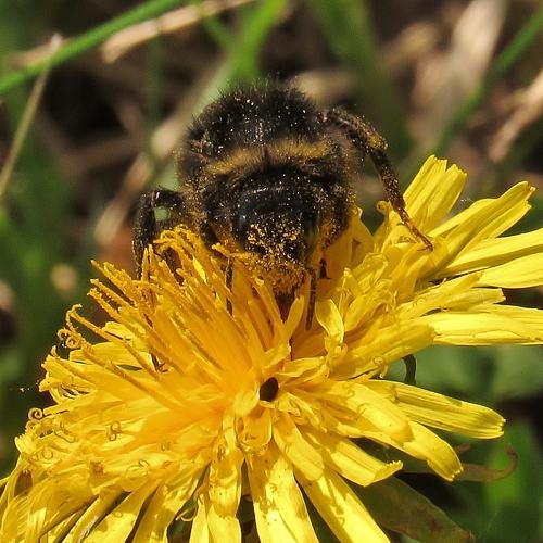Photo #4420282