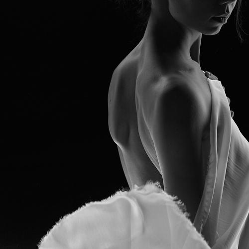 Photo #4420469