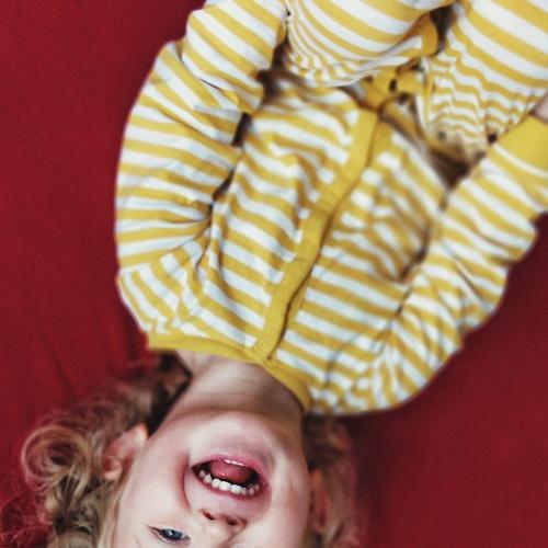 Photo #4420471