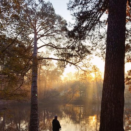 Photo #4420484