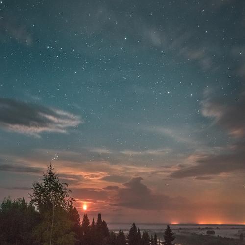 Photo #4420561