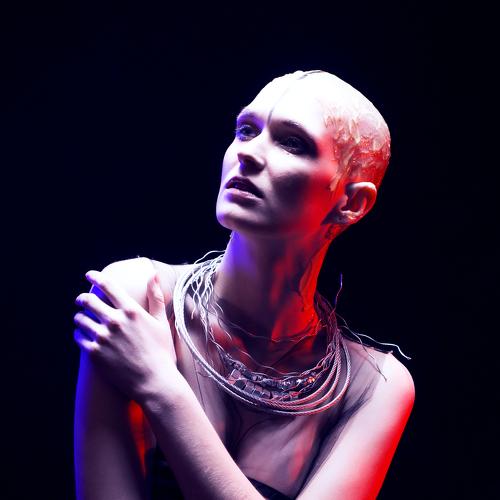Photo #4420662