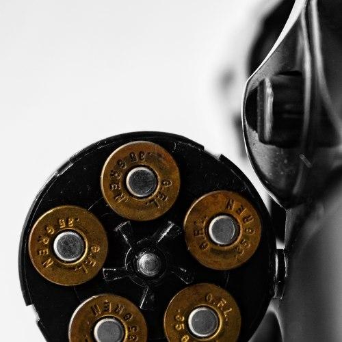 Photo #4421148