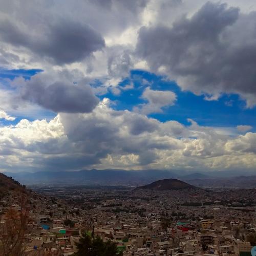 Photo #4421307