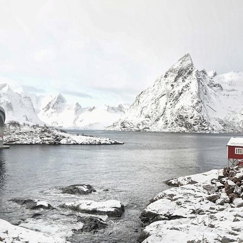Reine