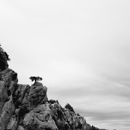 Photo #4421513