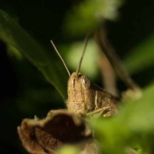 Photo #4421751