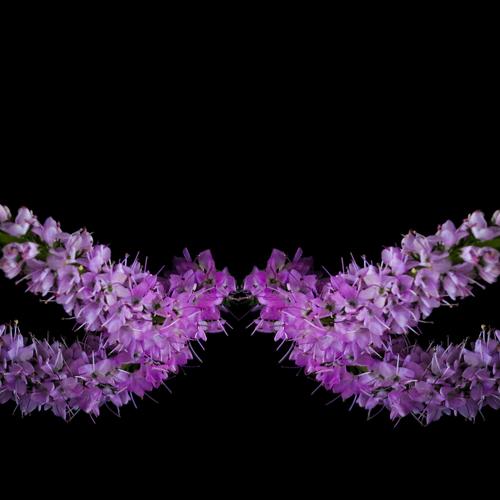 Masking Nature