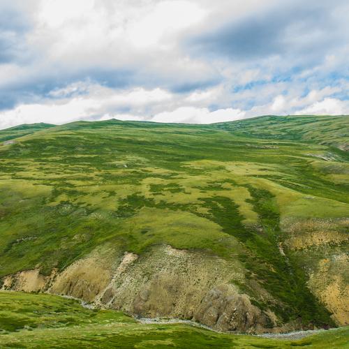 Зеленые холмы Алтая
