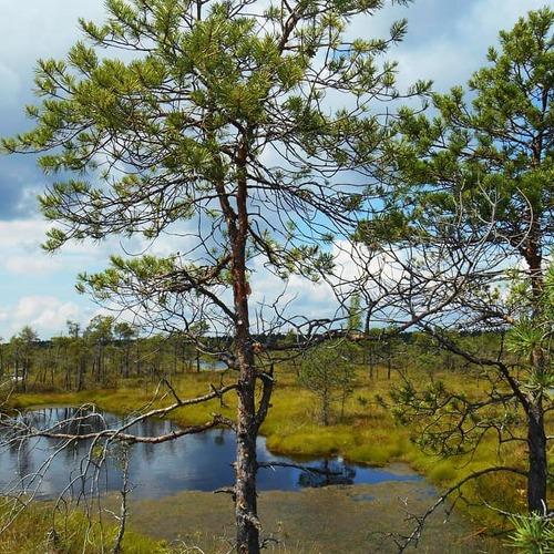 Photo #4421968