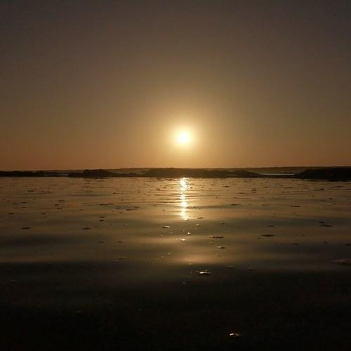 Photo #4422115