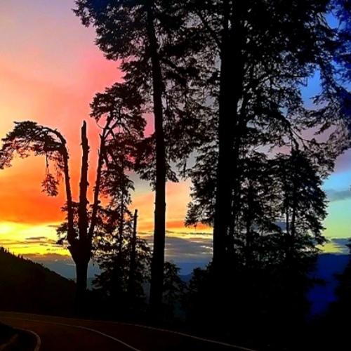 Photo #4422718