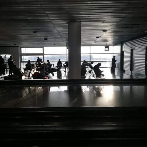 Photo #4422778