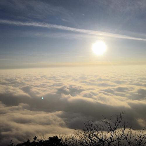 Photo #4422886