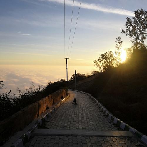 Photo #4422888