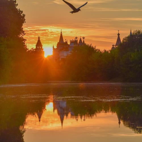 Photo #4423376