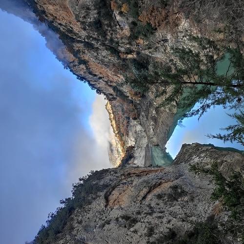 Photo #4423594