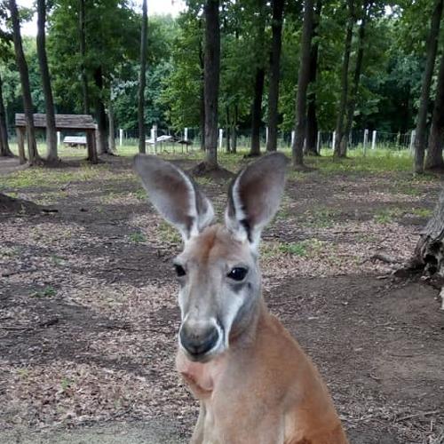 Photo #4423723
