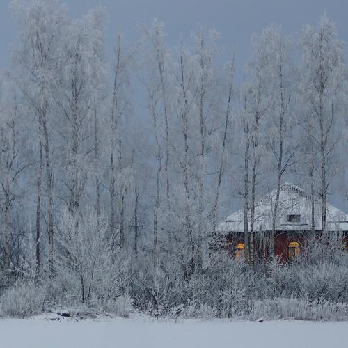 Photo #4423891