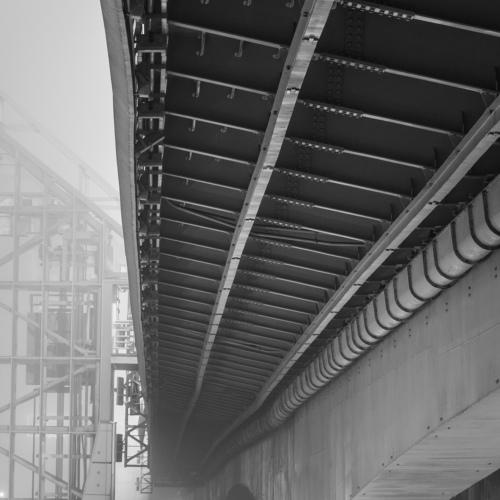 Photo #4424171