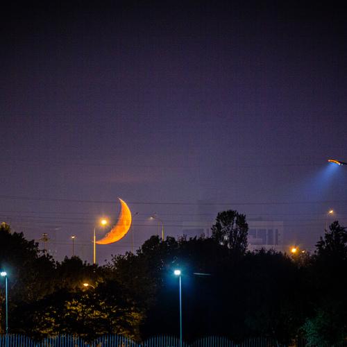Photo #4424381