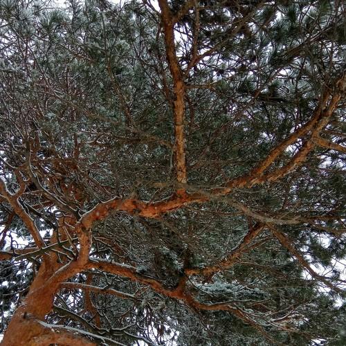 Photo #4424394