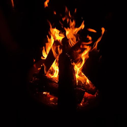 Photo #4424734