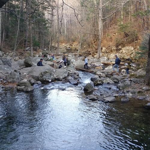 Photo #4424910