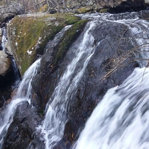 Photo #4424911