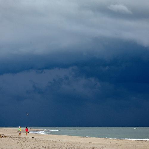 Photo #4425103