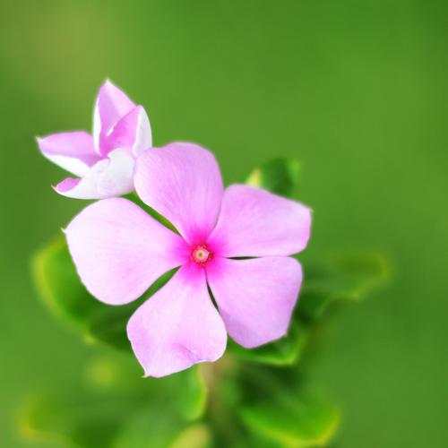 Photo #4425345