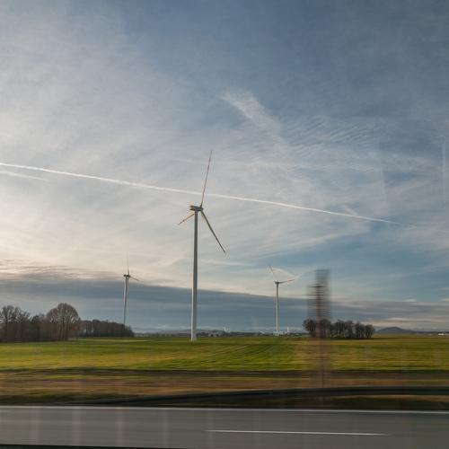 Photo #4425386