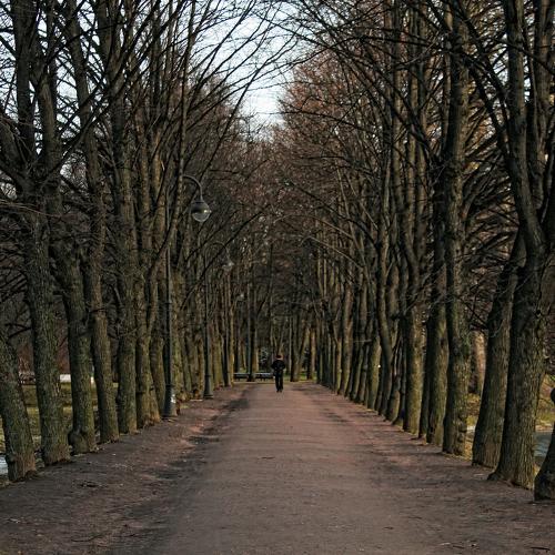 Photo #4425487
