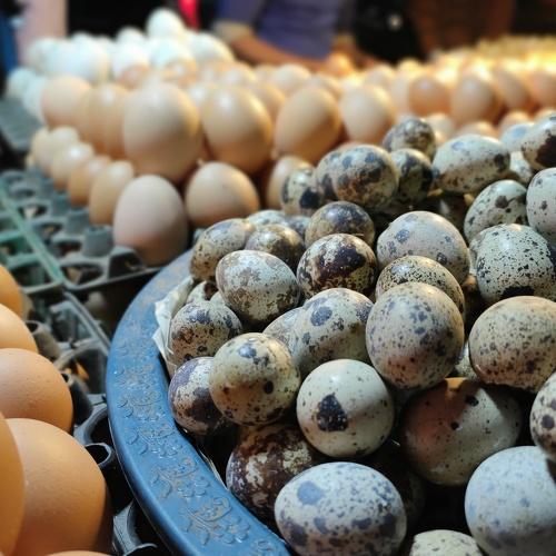 Eggs