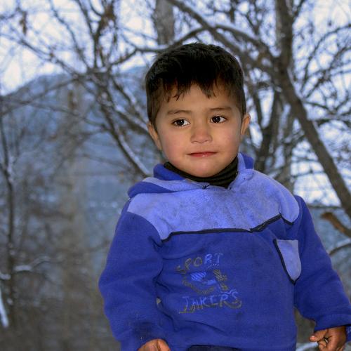 Photo #4425792
