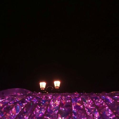 Photo #4425873