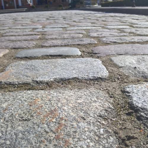 Photo #4425894