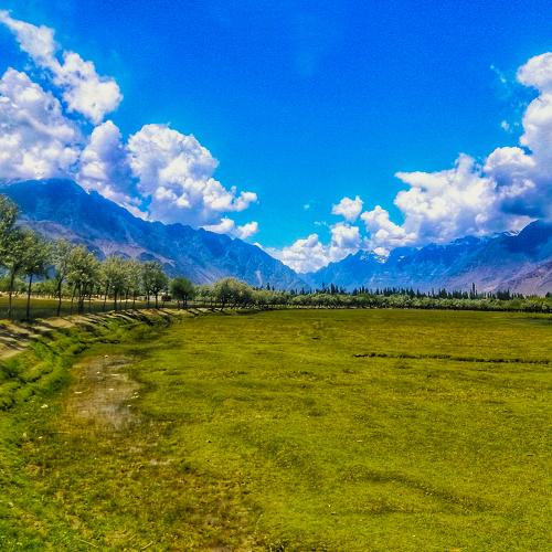 Photo #4425971
