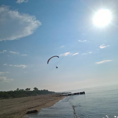 Photo #4425982